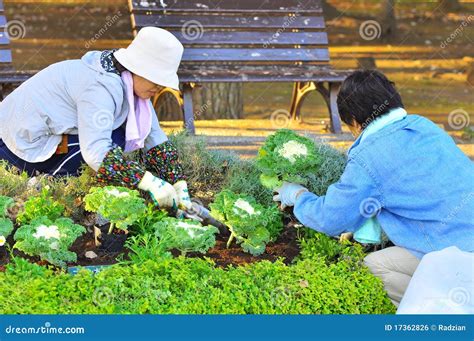 Japanese Gardener Editorial Photo Image 17362826