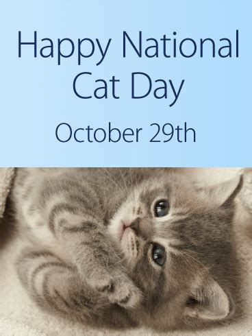 Www.globalcatday.org alley cat allies is. National Cat Day Cards 2020, Happy National Cat Day ...