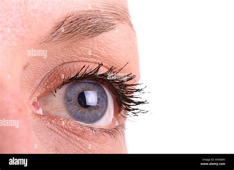 Womans Bright Blue Eyes Stock Photo Alamy