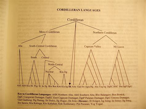 According to the 2005 census, there are about 8 million people who speak ilocano as a mother tongue (locally called kabakketan a dildila) and still another 2 million who speak it as a second language. Kumpulmi ay Nemnem: Ilocano Lesson via Meme