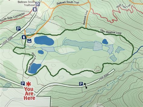 Everyone Outdoors Easy Hikes In The Vicinity Of Mt Greylock
