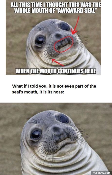 Awkward Moment Seal Meme Original