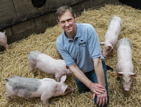 North East Pig Farmer Adds Value To Bring Home Bacon Press And Journal