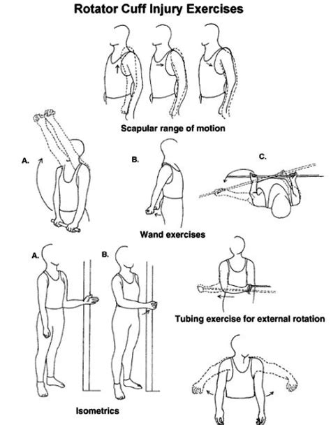 Best Exercise For Rotator Cuff Muscles Stretch Strength