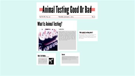 Animal Testing Good Or Bad By Evy Breeden
