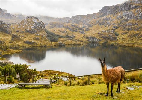 Parc National De Cajas Equateur Tcs Voyages