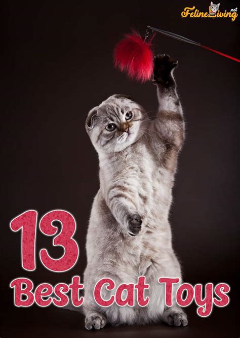 Top 13 Best Cat Toys For Indoor Cats And Kittens July 2023 Guide