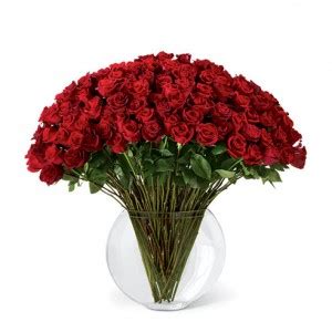Visit our website for details of product availability, internship opportunities, and directions to the farm. 100 Long Stem Red Roses in Roanoke, VA - Flowers By Eddie