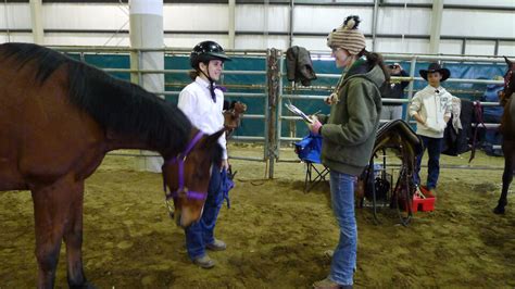 Riding Skills Level Testings June 18 June 25 And July 2 4 H Lancaster County University