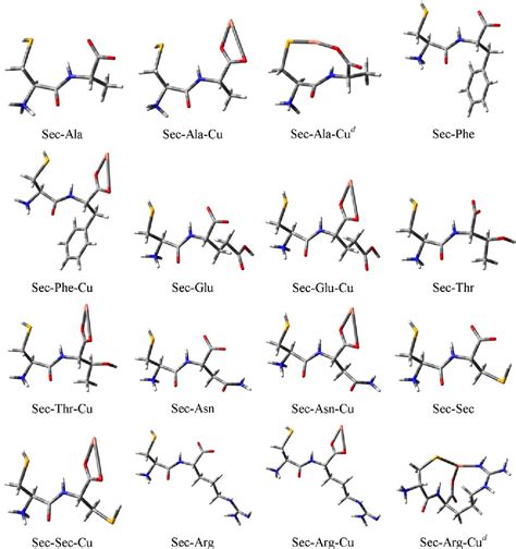 figure 2 from zwitterionic structures of selenocysteine containing dipeptides and their