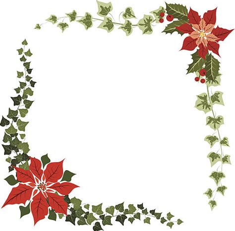 Best Holly Ivy Border Silhouette Illustrations Royalty Free Vector