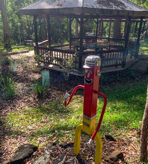 The sunshine coast starts around caloundra and extends to noosa in the north, the gateway to fraser island. EJ Foote Sanctuary: Cascade Circuit & Loop - Adventure Sunshine Coast