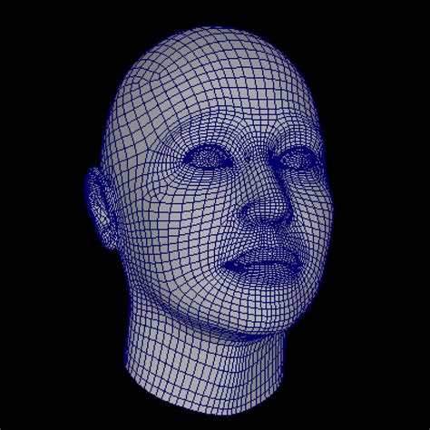 Face Wireframe Free Stock Photo Public Domain Pictures