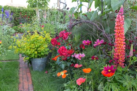 This list of best perennial plant combinations will help you part 3 cut flower garden continuing on with this summer's cut flower project, here is how we entertained. 8 best flowering plants for a colourful garden display ...