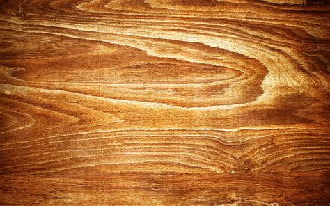 2024 Brown Wooden Texture Closeup Wooden Background Cracked Tree
