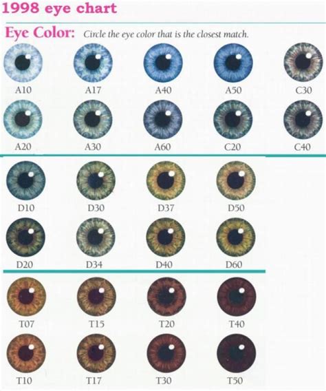 Eye Color Chart Denver Era My Twinn Eye Color Charts Incomplete Set