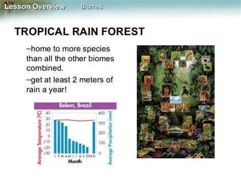 Biomes Biotic And Abiotic Factors Biomes Tropical Rainforest Abiotic
