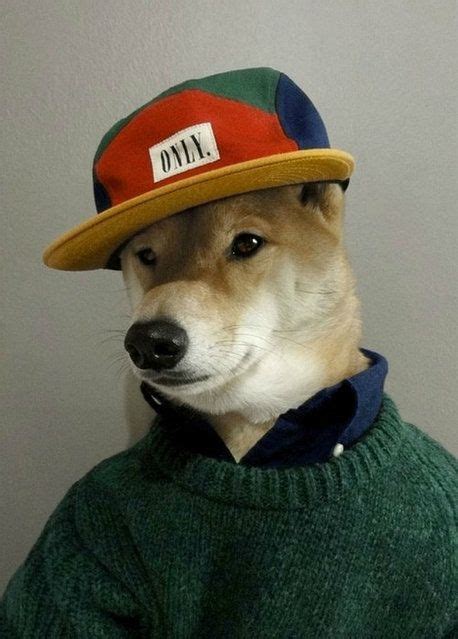 ڿڰۣ̆̃̃ Aussiegirl Menswear Dog Menswear Dog Dog Dresses Dapper Dogs