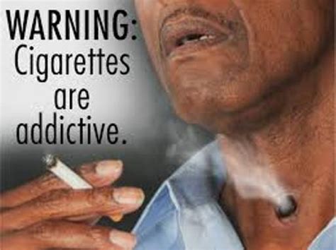 1 1billion People Are Smokers Globally Who P M News