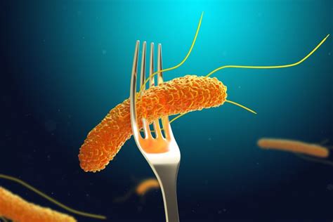 Salmonella infection (salmonellosis) is a common bacterial disease that affects the intestinal tract. Biosensor can identify small presence of Salmonella in mere hours