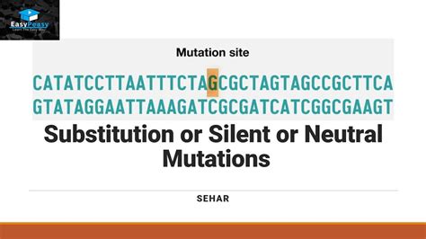 Substitution Or Silent Or Neutral Mutations Youtube