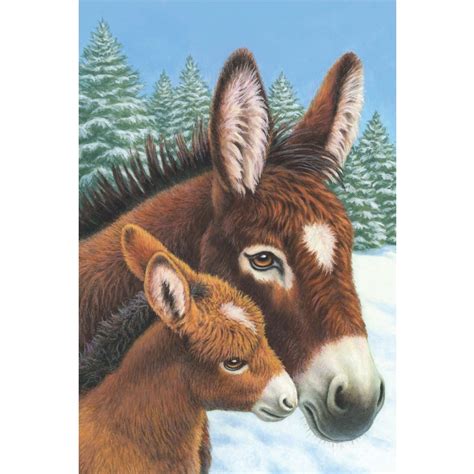 Christmas Cards Spana Charity Shop Every Purchase Helps Working Animals