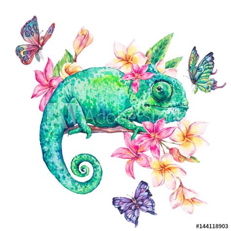 Watercolor Chameleon At Getdrawings Free Download