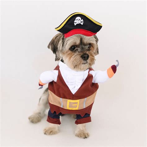 3 Sets Of Dog Pirate Costume Halloween Dog Cosplay Clothes Decorative