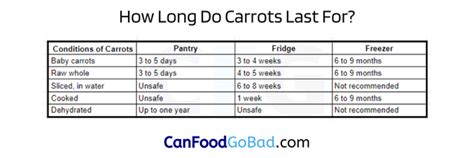 Can Carrots Go Bad In The Fridge Carrot Storage Tips And Signs Of