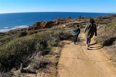 Beach Trail Guide Torrey Pines State Reserve Outdoor Socal
