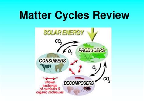 Ppt Matter Cycles Review Powerpoint Presentation Free Download Id