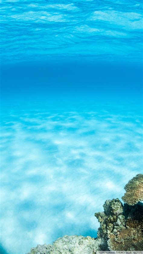 Underwater Wallpaper Underwater Summer Wallpaper 1080x1920