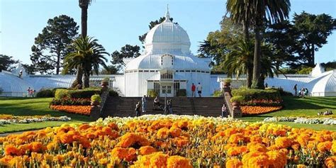 Maybe you would like to learn more about one of these? Conservatory of Flowers Events | Event Venues in San ...