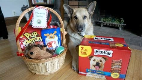 I sent this to a friend in dc. Make the Perfect Dog Christmas Gift Basket - with ...