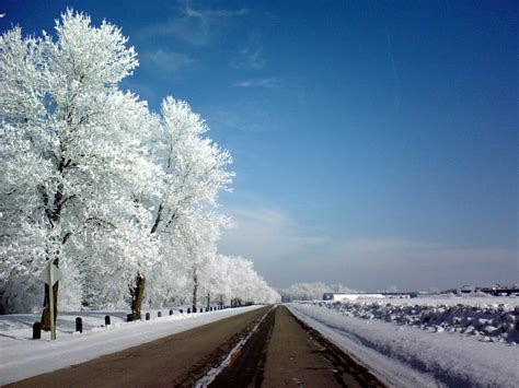 Frost Temperature Wikipedia