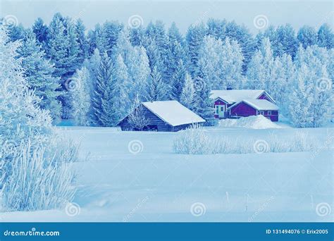 House In Snow Covered Winter Forest At Christmas Finland Lapland Stock