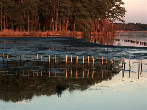 Blackwater National Wildlife Refuge On The Eastern Shore Of Maryland