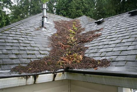 How To Maintain Your New Roof Lyons Roofing
