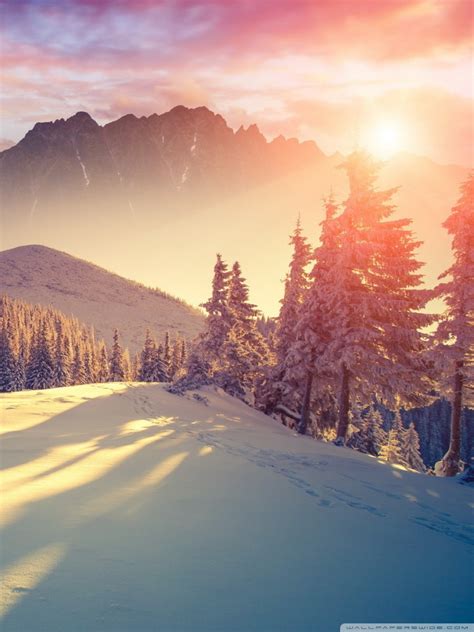 Check out this fantastic collection of winter europe wallpapers, with we hope you enjoy our growing collection of hd images to use as a background or home screen for your smartphone or computer. Sunset Winter Shadows Ultra HD Desktop Background Wallpaper for 4K UHD TV : Tablet : Smartphone