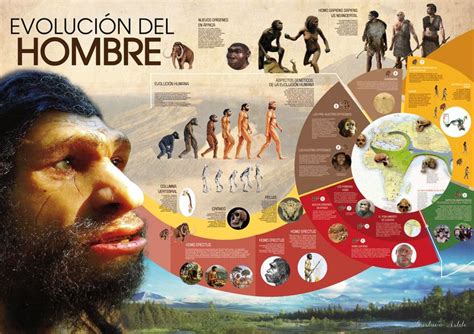 Infograf A Evoluci N Del Hombre History Class Infographic