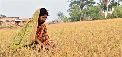 Women Farmers Of Odisha Fight Against Disasters While Pushing For
