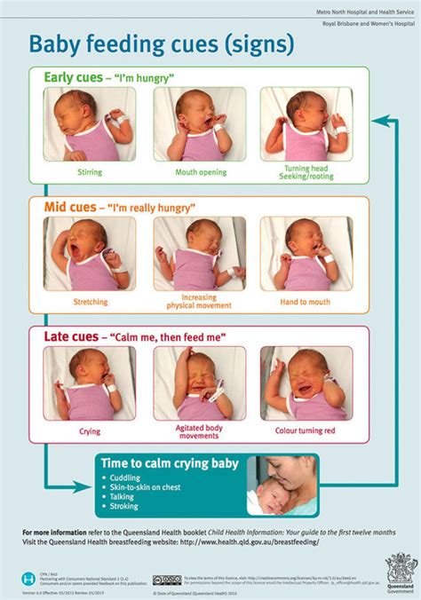 A Visual Guide To Recognising A Babys Hunger Signs Mums Grapevine