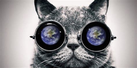 Así Ven Los Gatos El Mundo Visions Round Sunglasses Whit Pets World