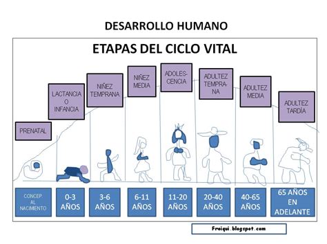 Periodos Y Etapas Del Ciclo De Vida Del Ser Humano Pdf Desarrollo