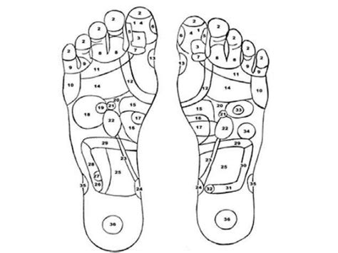mengetahui lokasi titik refleksi pada kaki dan manfaatnya