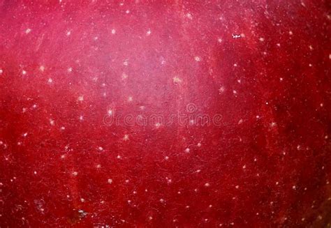 Red Apple Texture Lots Of Red And Green Apples Collected In A Bins At