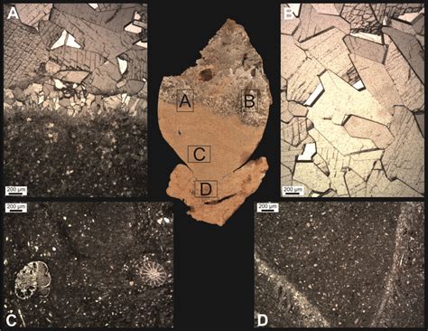 Thin Section And Microphotographs Of The Geopetal Structure Of A