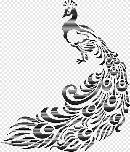 Populer 53+ lukisan burung hitam putih, gambar lukisan. Gambar Animasi Burung Merak Hitam Putih - Crimealirik Page