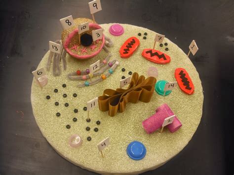 Fun demonstration of cell biology using food to make an animal cell model for kids. Designed By Youth @ Pollicita Middle School: Animal and ...
