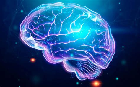 Beyin Nasıl Düşünce Ve Zihin Oluşturur 5 Herkese Bilim Teknoloji